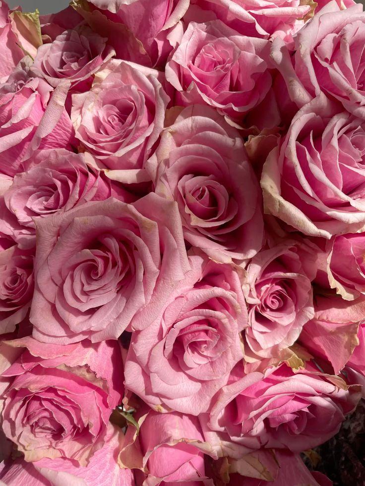 Harmony in Bloom: Soft Tonal Symphony Bouquet